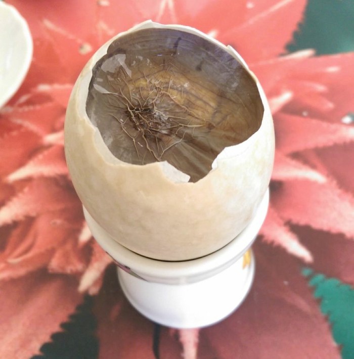 breaking through the duck egg